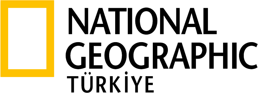 National Geographic Türkiye Logo - National Geographic Polska Logo (856x309), Png Download
