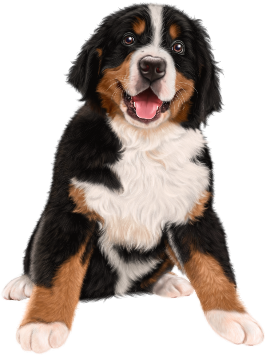 Golden Retriever Png Clipart Background - Dog Transparent (903x1187), Png Download