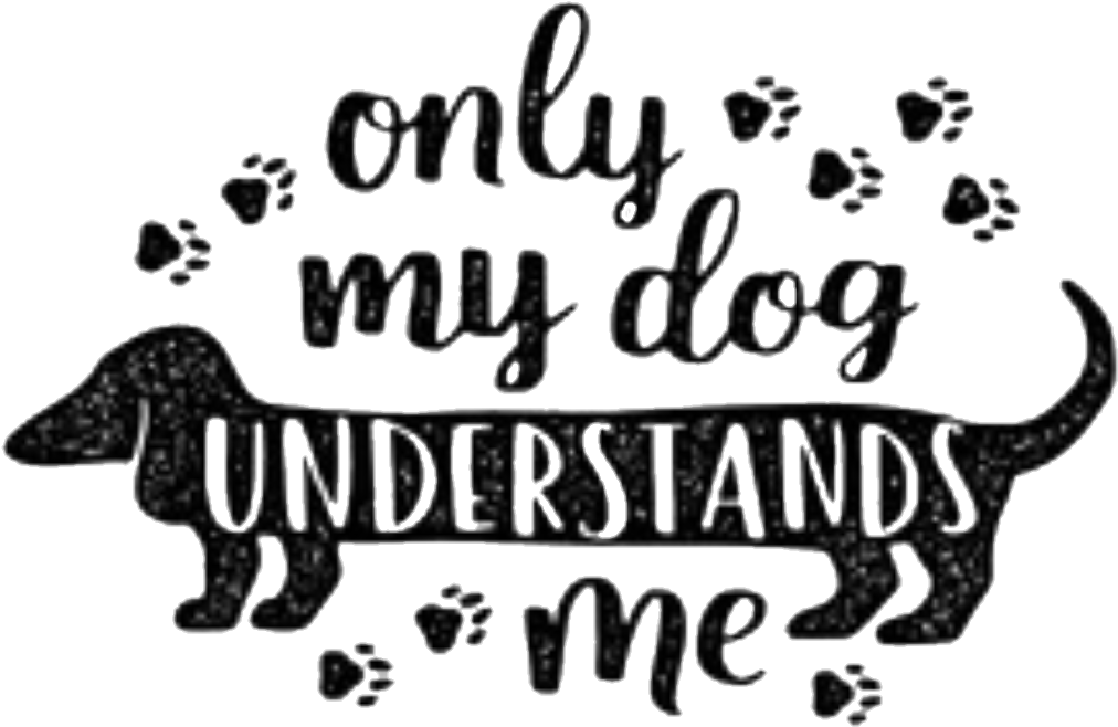 Dog Sayings Clipart - Frases Con Letras Lindas (1080x762), Png Download