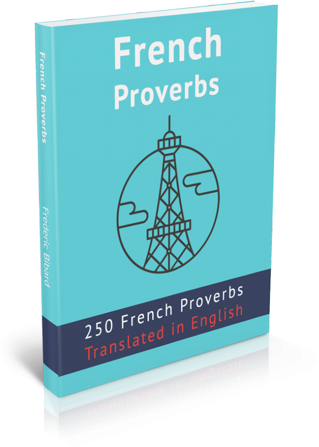 French Proverbs - Beginner's French Grammar In 30 Days: Learn French (694x1024), Png Download