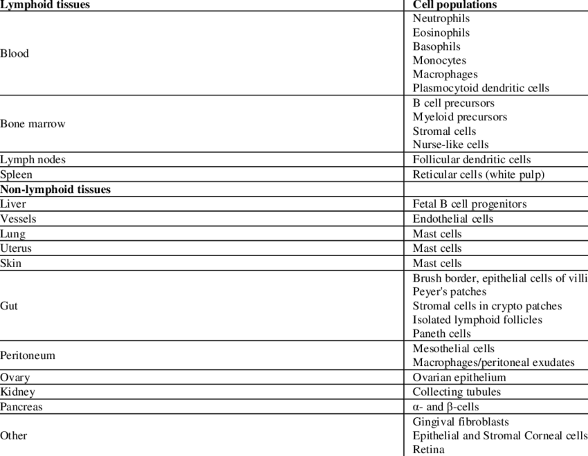 Schematic Distribution Of Cd157 In Tissues - Document (850x659), Png Download