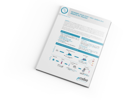 Download - Display Device (480x387), Png Download