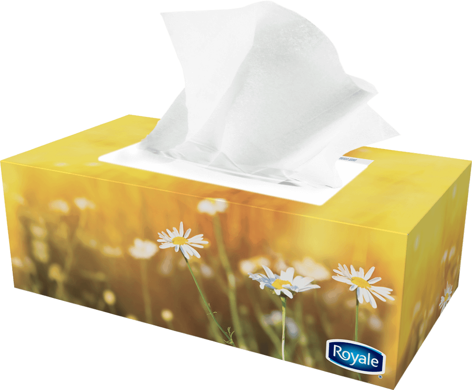 Thumb Image - Royale Tissue Box (969x801), Png Download