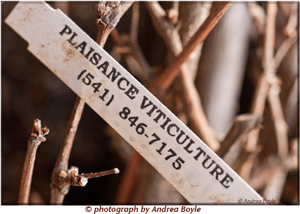 Plaisance Ranch Offers Oregon Certified Grape Vines - Plaisance Ranch (479x327), Png Download