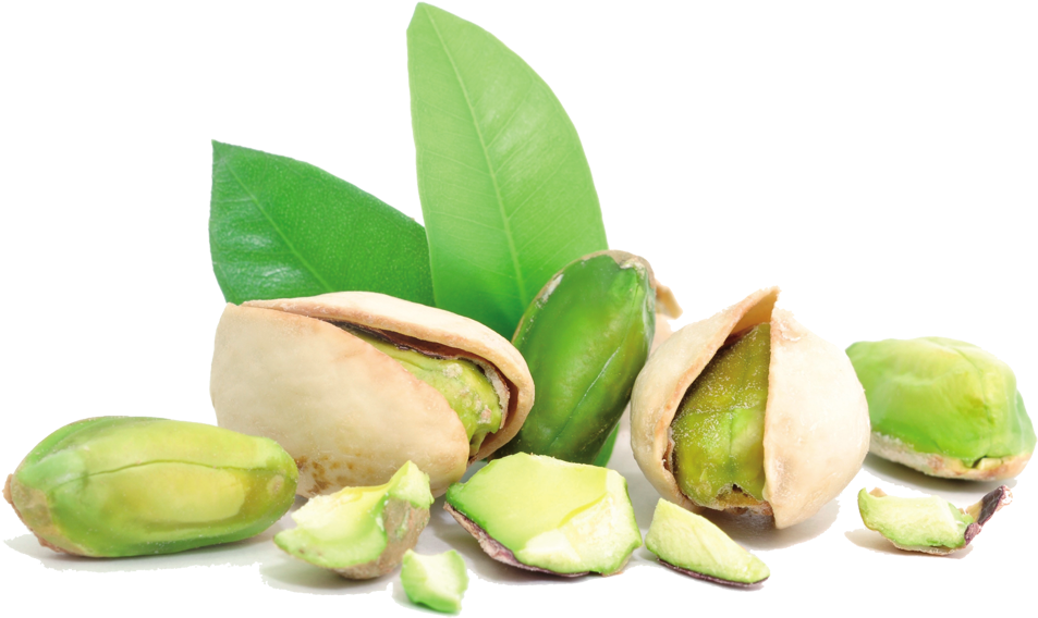 Pistachios Png - Pistachio Png (1000x605), Png Download