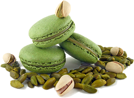 Pulse (600x600), Png Download