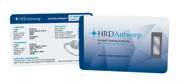 Jewellery Report - Enterprise Software (760x340), Png Download