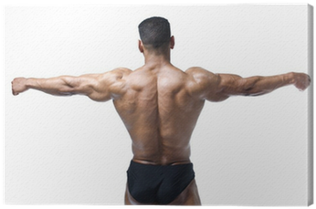 Back, Shoulders And Arms Of Muscular Bodybuilder Canvas - Hombre Musculoso De Espalda (400x400), Png Download