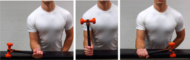 Pronation/supination With A Dumbbell - Pronation Supination Exercises (640x205), Png Download