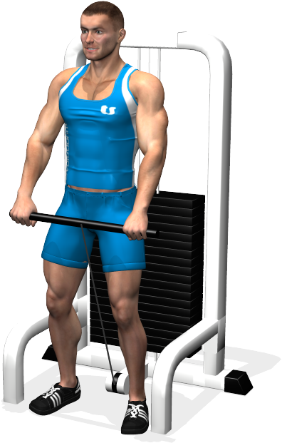 One Arm Front Cable Raise Involved Muscles During The - Alzate Frontali Cavo (700x700), Png Download