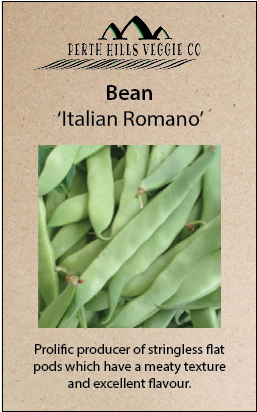 Bean 'italian Romano' - Perth Hills (411x411), Png Download