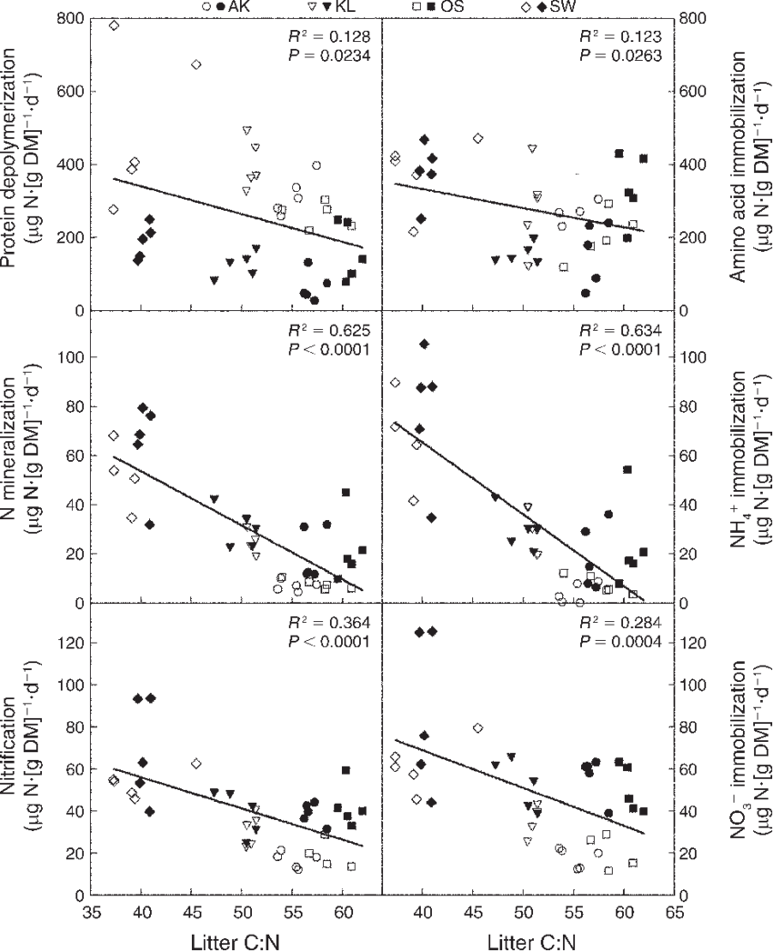 Relationships Between Litter C - Harvest (850x1046), Png Download