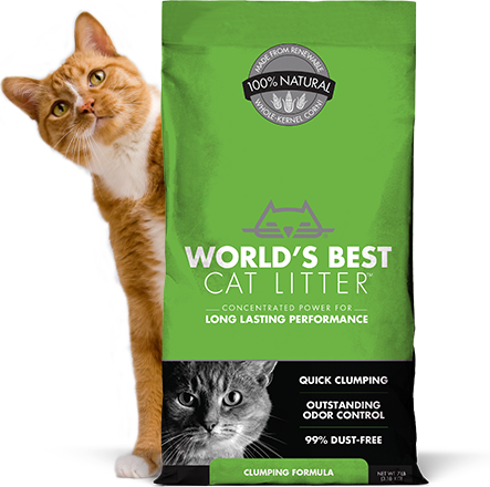 Flushable* Cat Litter That Clumps - World's Best Cat Litter (443x440), Png Download