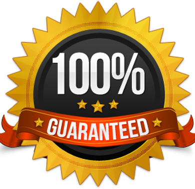 100 Guarantee Logo Png - Bib Chain Pendant Fashion Women Charm Alloy Jewelry (390x377), Png Download