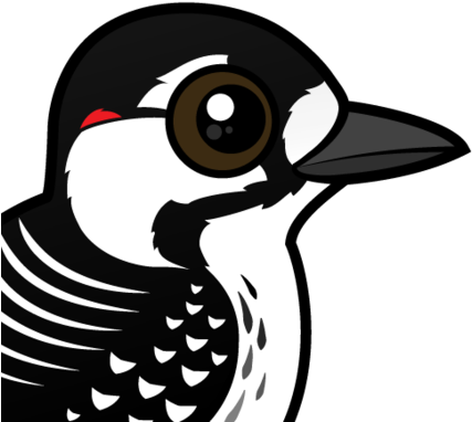 About The Red-cockaded Woodpecker - Vier Farbroter-cockaded Specht Zierkissen (440x440), Png Download