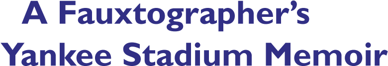 Yankee Stadium Memoir Ebook - Cambridge Igcse Geography 2nd Edition (800x186), Png Download