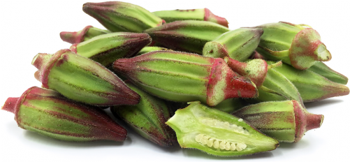 Okra (500x500), Png Download