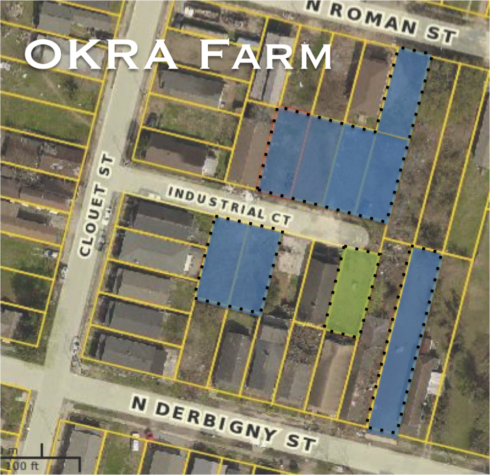 Okra Farm Pic (1000x970), Png Download