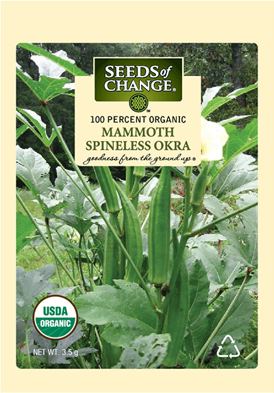Organic Mammoth Spineless Okra Seeds - Lady Finger Vegetable Plant (573x573), Png Download