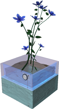 Forget - Me - Not - Delphinium (640x480), Png Download