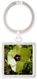 Okra Blossom Keychains - Okra Blossom Mugs (350x350), Png Download