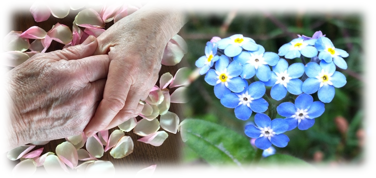 With Cakes, Home-made Of Course, Meet Old And New Friends - Alpine Forget-me-not (1474x699), Png Download