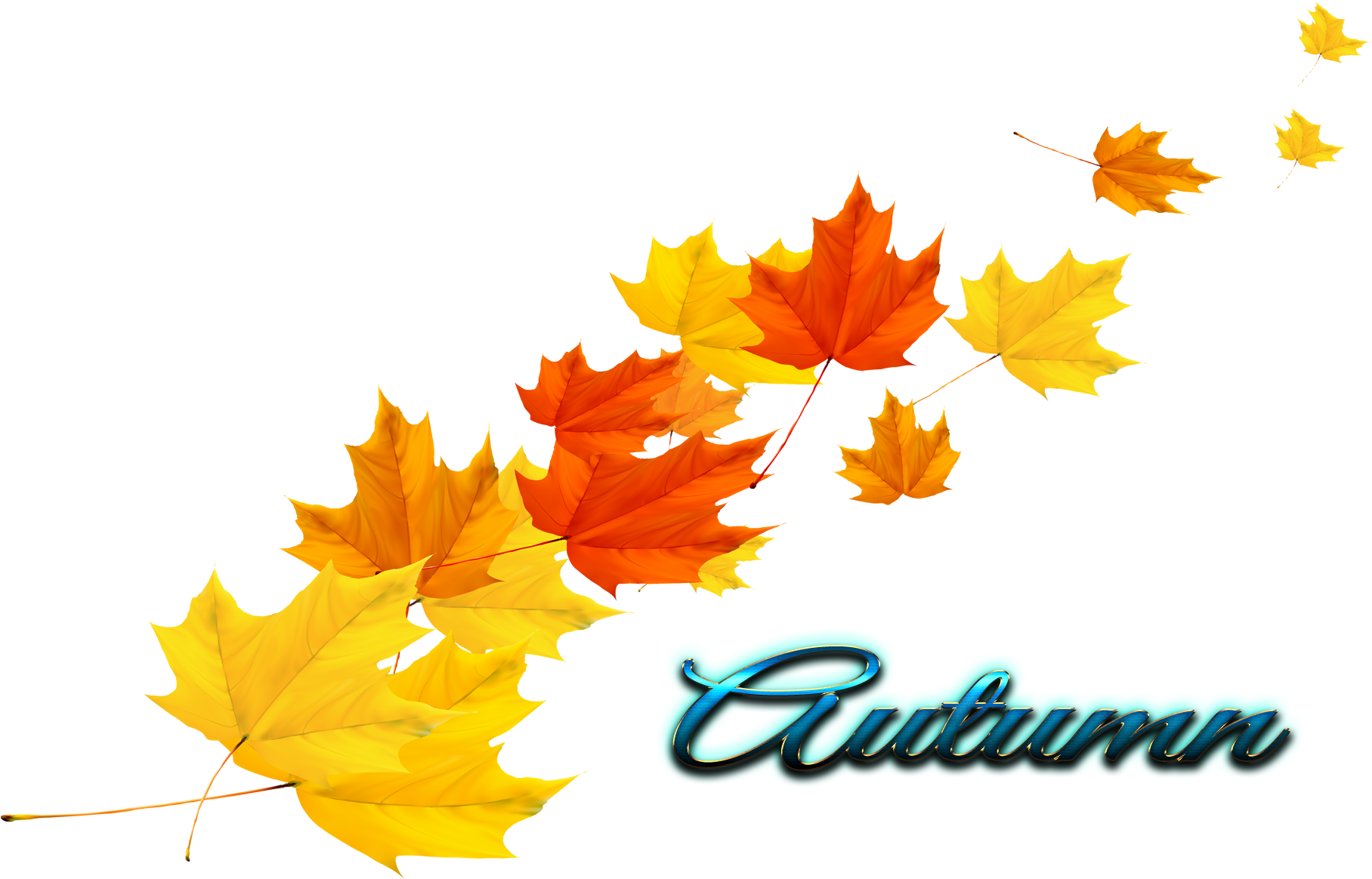 Autumn Leaf Vector Png (1920x1200), Png Download