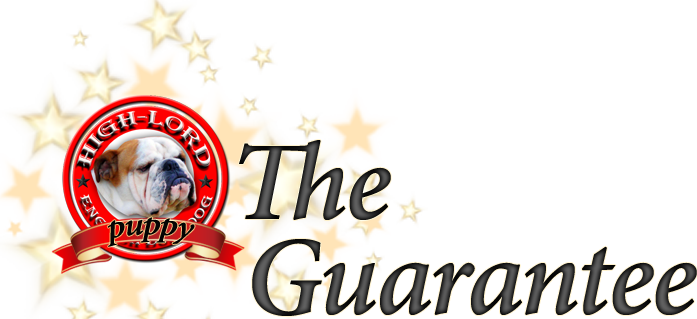 Health Guarantee For Our English Bulldogs - Australian Bulldog (697x319), Png Download