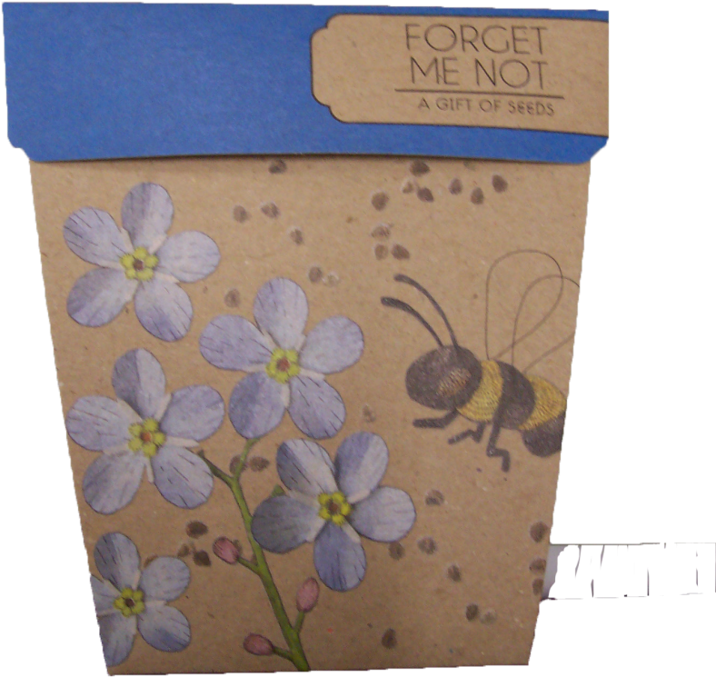 Forget Me Not - Hand Picked Gifts A Gift Of Seeds - Forget Me Not (1050x1200), Png Download