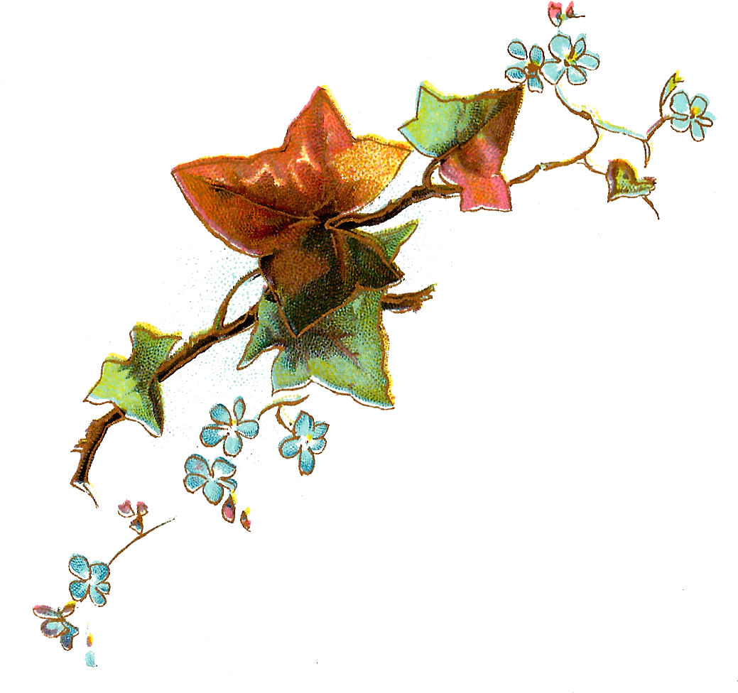 Free Flower Clip Art - Portable Network Graphics (1115x1054), Png Download