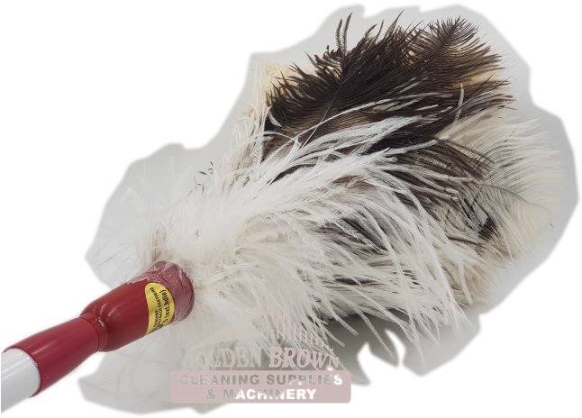 D3 Fd Feather Duster Ostrich Genuine C - Feather Duster (667x500), Png Download