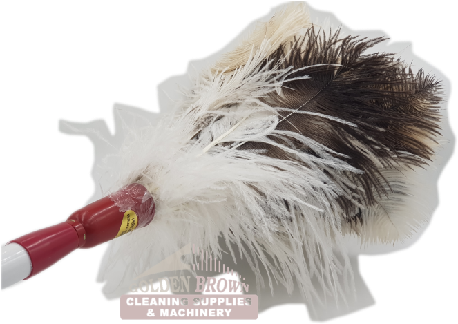 D3 Fd Feather Duster Ostrich Genuine C - Feather Duster (667x500), Png Download