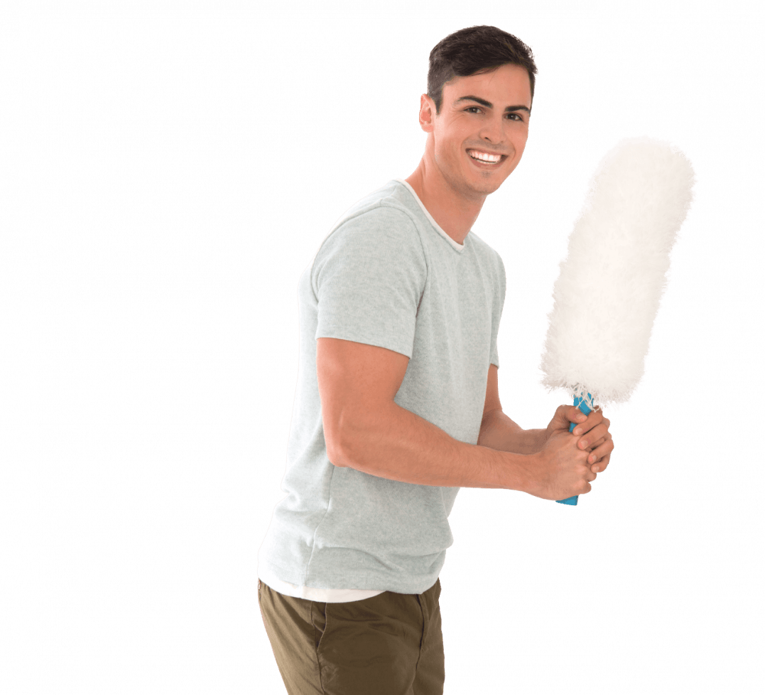 Plumeau - Feather Duster (1077x978), Png Download