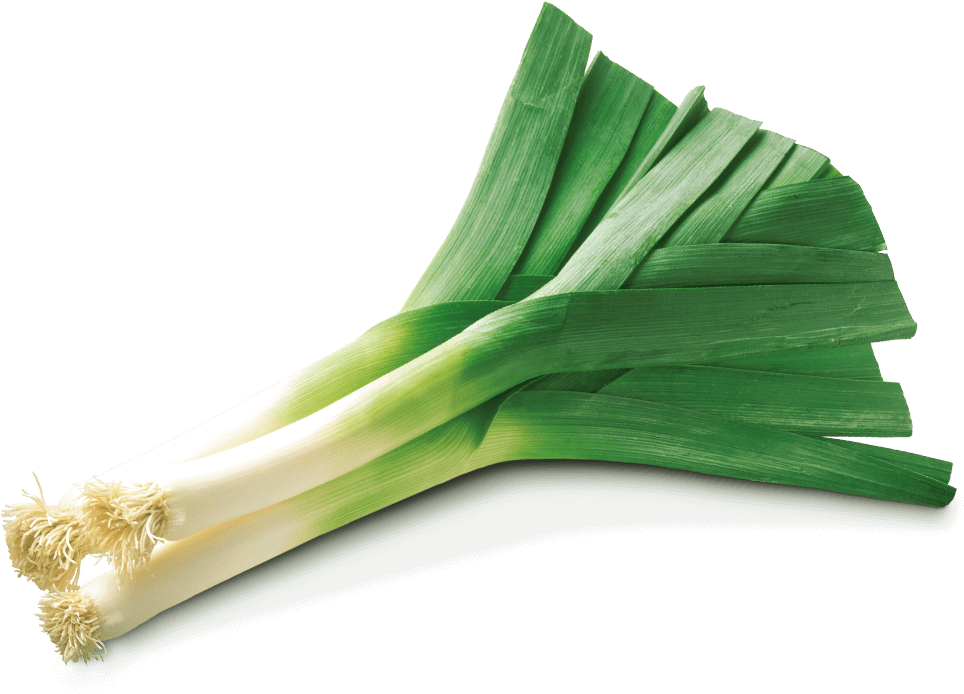 Leek Png (1000x696), Png Download