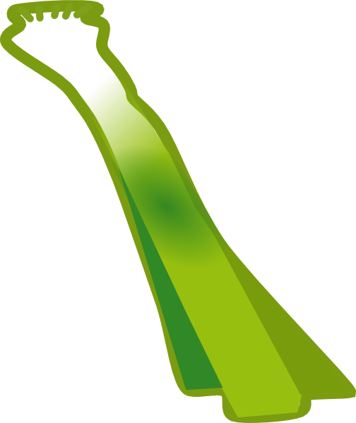 Leek Clip Art - Leek Clipart Png (504x599), Png Download