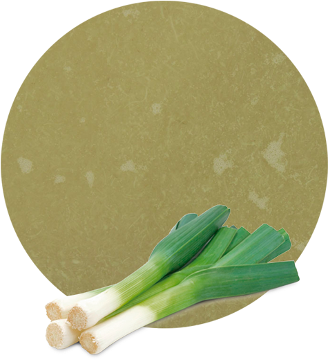 We Always Find The Best Logistic Solutions For Our - Welsh Onion (536x595), Png Download