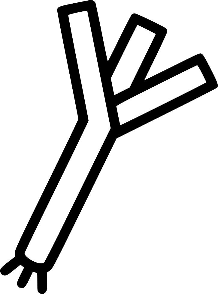Leek Comments - Portable Network Graphics (726x980), Png Download