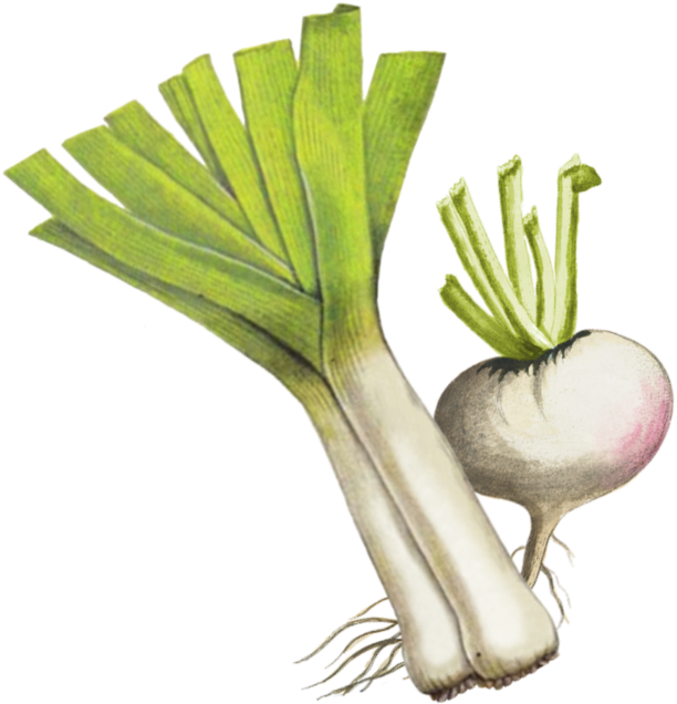 Protein - Arugula (886x886), Png Download