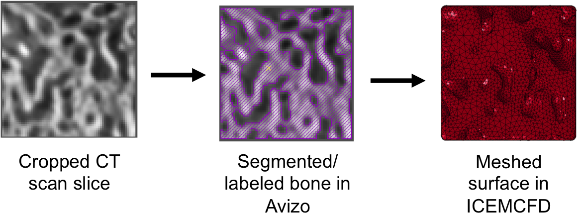 In Our Case, We Want To Better Understand How Army-related - Lavender (1178x443), Png Download