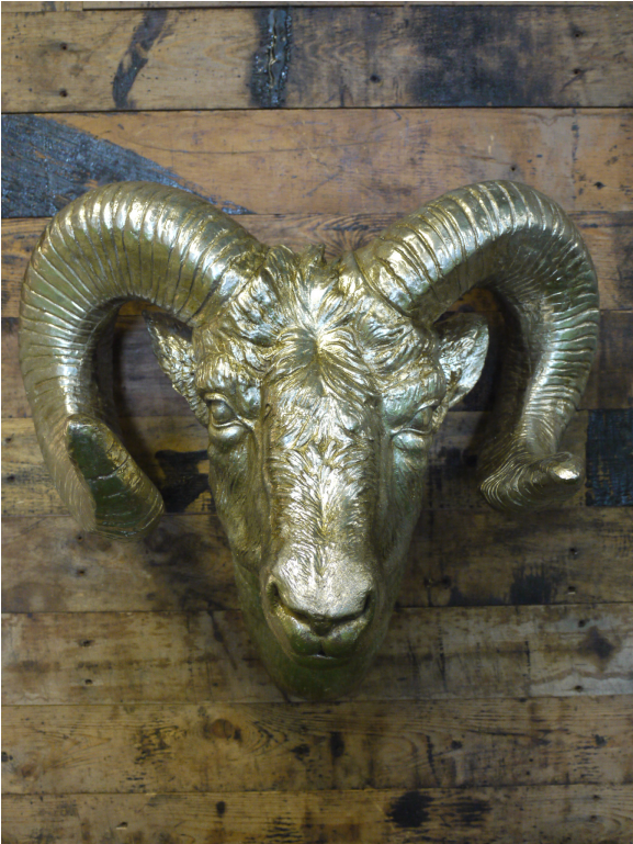 Cattle (1152x768), Png Download