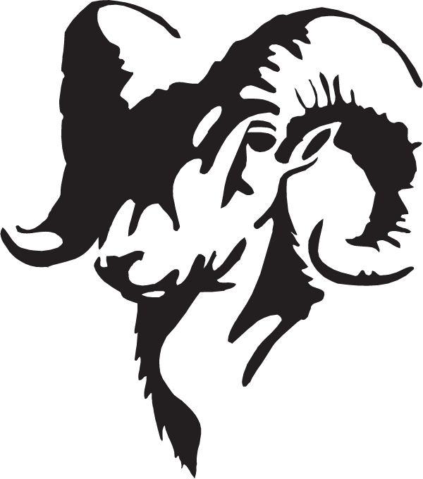 Bighorn Sheep Line Drawing (600x680), Png Download