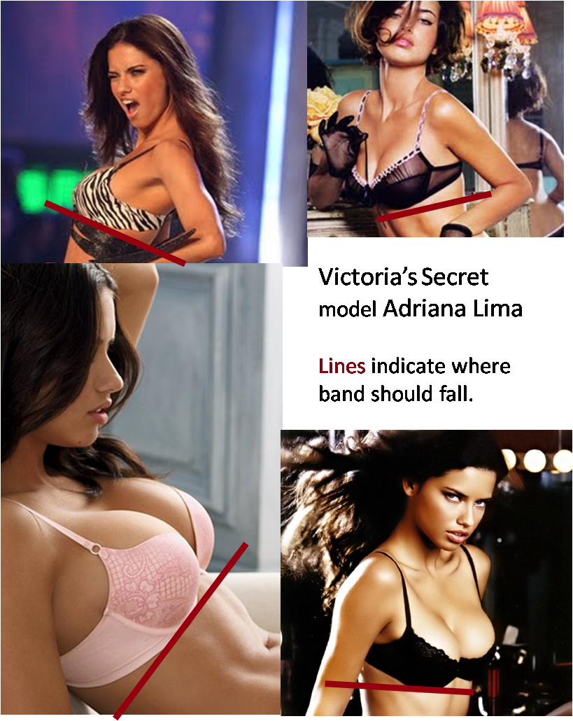 Adriana Lima Bras - Sensations - Wayne Madiedo - Download (819x1030), Png Download