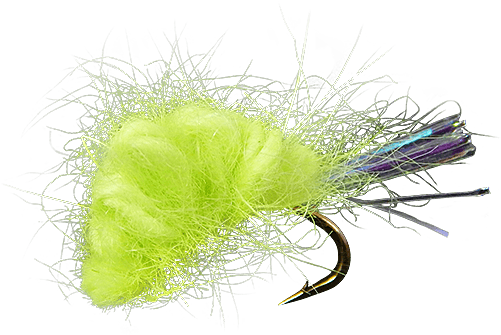 Feather (555x741), Png Download