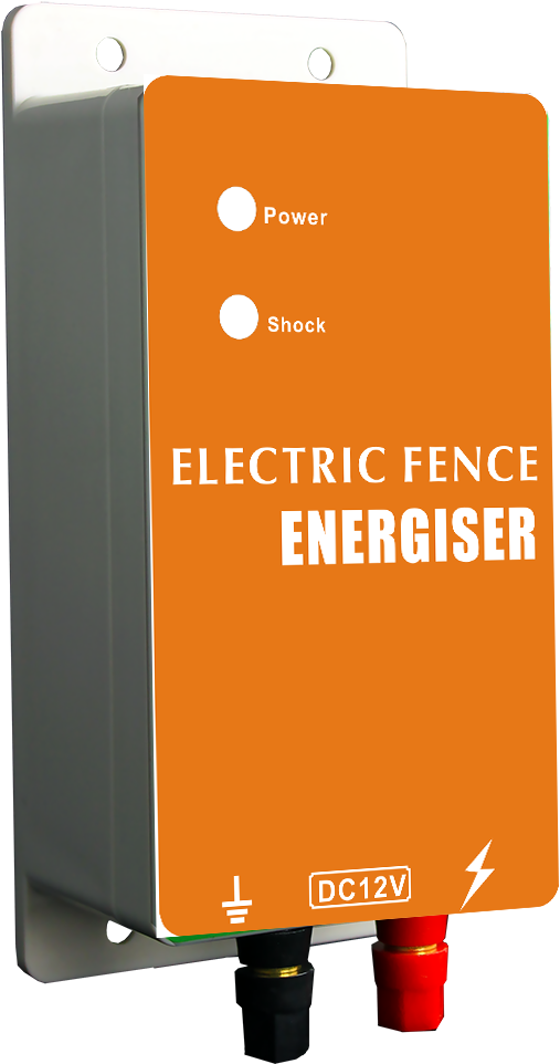 Hot Sale - Economy (1000x995), Png Download