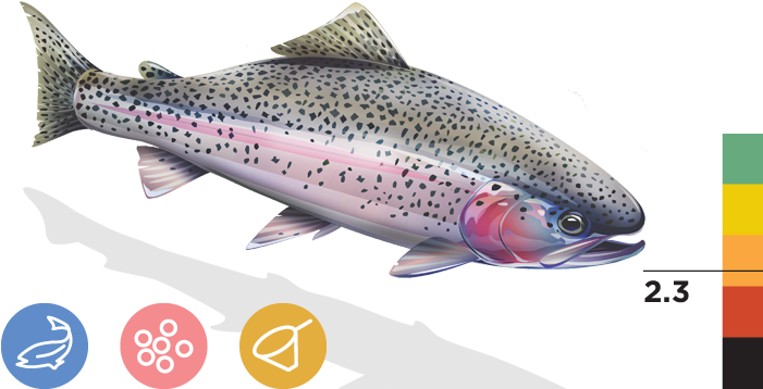 Eagle Lake Rainbow Trout (700x373), Png Download