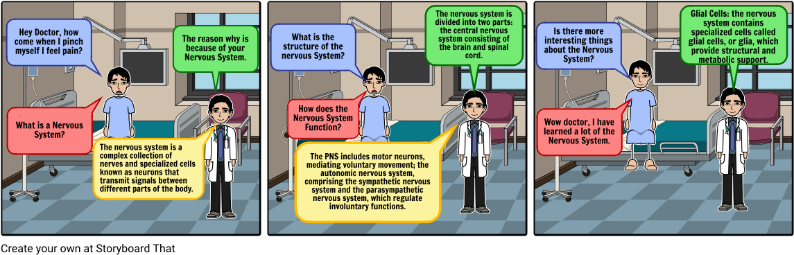 Nervous System Hernandez - Nervous System (1164x385), Png Download