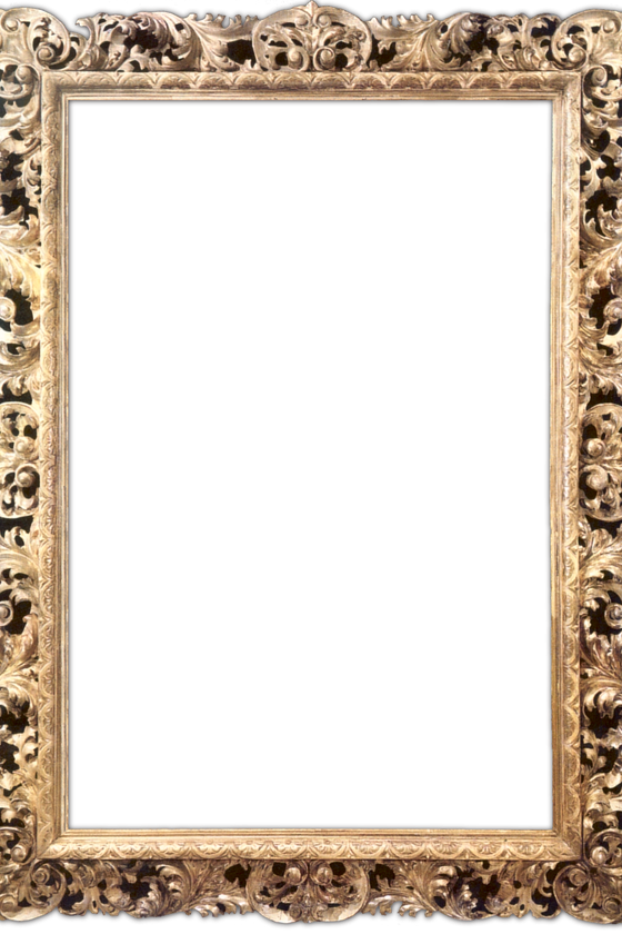 The Art Of Hair - Gold Frames (560x840), Png Download