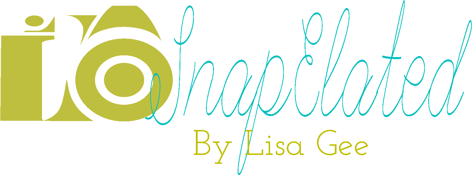 Snape Photography - Animation Camera (1986x1984), Png Download