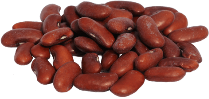 Free Png Kidney Beans Png Images Transparent - Beans Png (850x410), Png Download