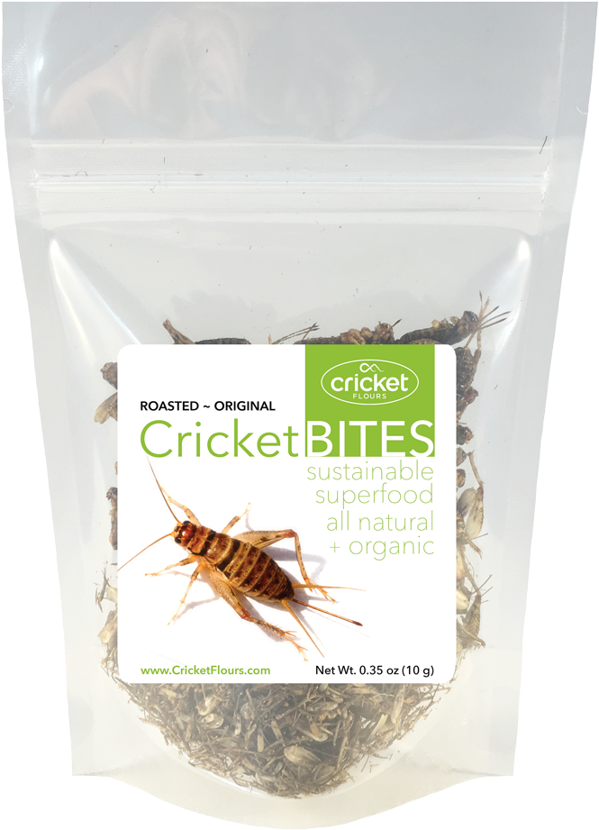 Roasted Crickets & Dried Crickets - Cricket (794x1000), Png Download